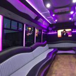 Party Bus in Michigan