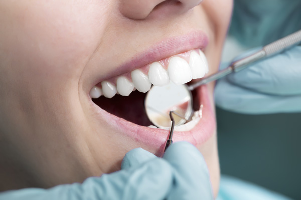 How Your Pet Care Routine Mirrors Effective Dental Maintenance Habits